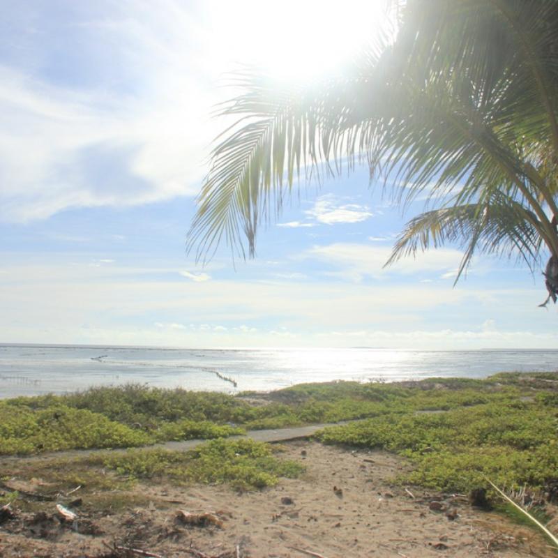 Terrain – villa - maison – propriété – à vendre – à louer – location - location longue durée – location à l’année – investissement – achat – vente – plage – bord de mer - sable blanc – Indonésie – Roti island – Bali – chambre – notaire – consultant - juridique – création - société – administration – voyage – entreprise – hôtel – commerce – restaurant – projet – visa – permis – travail – retraite – informations – découverte – aventure – produits – naturels – spa – salon – coiffure – réflexologie – savon – shampoing – anti-moustique – tourisme – plaisir – nature – surf – plongée – exploration – exotique – exotisme – massage – traditionnel – huile de massage – coucher de soleil – photos – galerie – soin de beauté – pédicure – manucure – agent immobilier – professionnel-Land - villa - house - property - for sale - rent - rental - leasing - rent annually - investment - purchase - sale - beach - sea - white sand - Indonesia - Rote island - Bali - bedroom - notary - consultant - legal - creation - company - administration - travel - business - hotel - shop - restaurant - project - visa - permit - work - retirement - information - discovery - adventure - products - natural - spa - lounge - hairdresser - reflexology - soap - shampoo – anti-mosquito – pleasure – nature – surf – diving – exploration - exotic - exotism - massage - traditional - massage oil - sunset - pictures - gallery - beauty treatment - pedicure – manicure – real estate agent – professional-Tanah - villa - rumah - properti - Dijual - disewakan - dikontrakan - menyewa per tahun - investasi - pembelian - penjualan - pantai - laut - pasir putih - Indonesia - pulau Roti - Bali - bedroom - notaris - konsultan - hukum - penciptaan - wisata - - bisnis - Hotel - bisnis - restoran - proyek - visa - izin - pekerjaan - pensiun - informasi - penemuan - petualangan - produk - spa - - alam ruang duduk - penata rambut - reflexology masyarakat - administrasi - sabun - shampoo – anti-nyamuk - Pariwisata - menyenangkan - semacam - surfing - diving – eksplorasi - eksotik - eksotis - pijat - tradisional - pijat minyak - sunset - Foto - galeri - perawatan kecantikan - pedicure – manicure – properti agen - Profesional